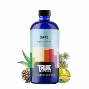 The Beginner’s Guide to Infused Pre Rolls 2